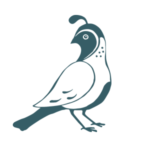 bird-icon